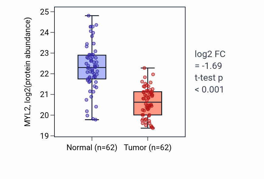 Tumor-vs-normal mass-spec protein box plot for MYL2 in LSCC.