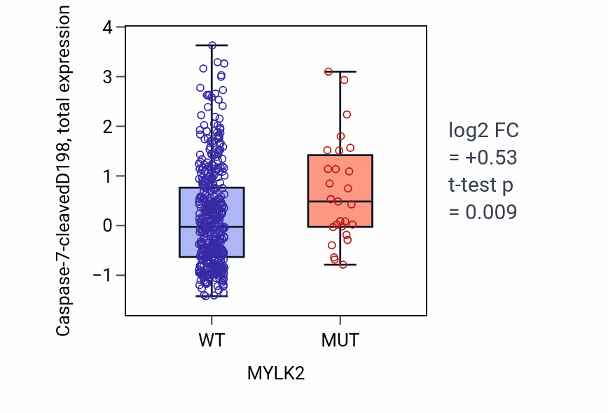 Box plot of Caspase-7-cleavedD198 in MYLK2-low vs MYLK2-high samples in UCEC.