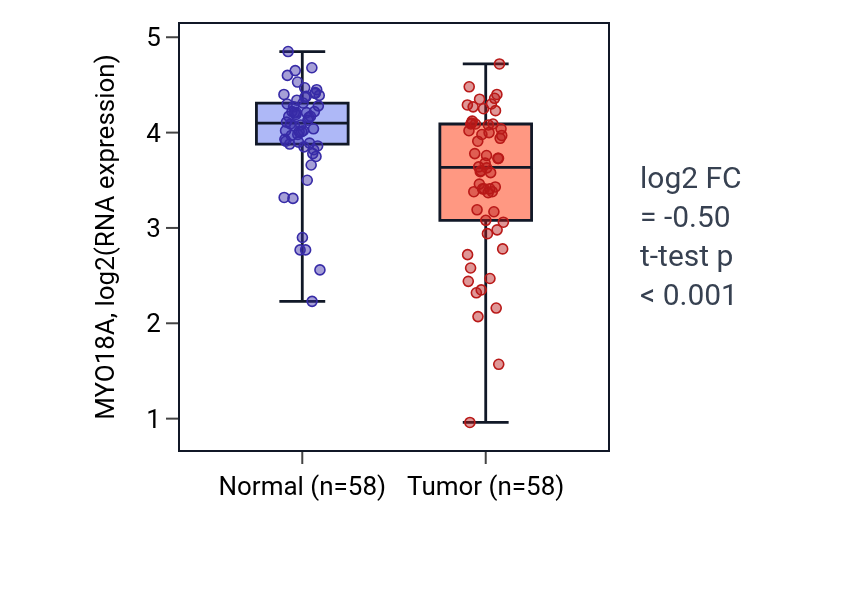 Tumor-vs-normal expression box plot for MYO18A in THCA.