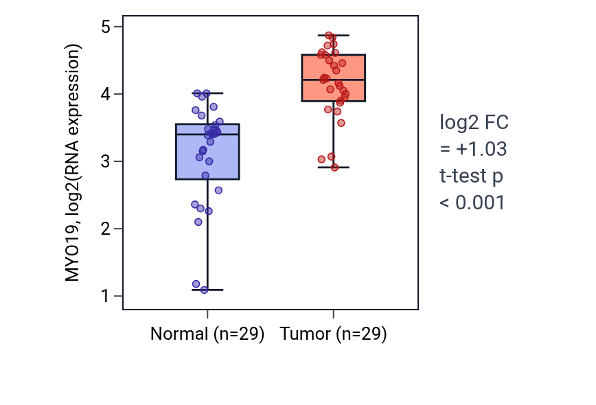 Tumor-vs-normal expression box plot for MYO19 in HNSC.