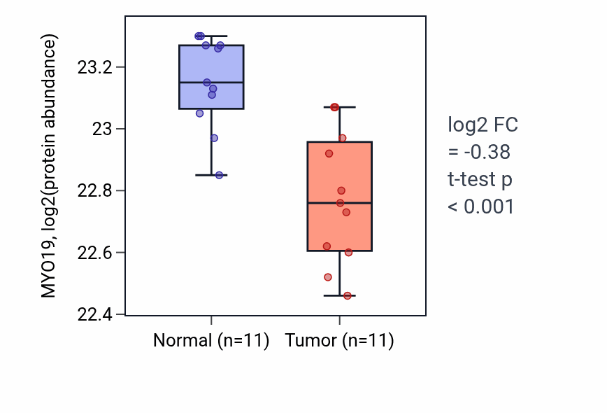 Tumor-vs-normal mass-spec protein box plot for MYO19 in CCRCC.
