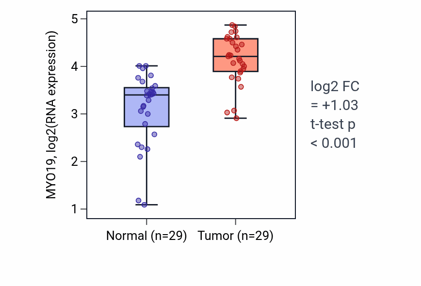 Tumor-vs-normal expression box plot for MYO19 RNA in HNSC.