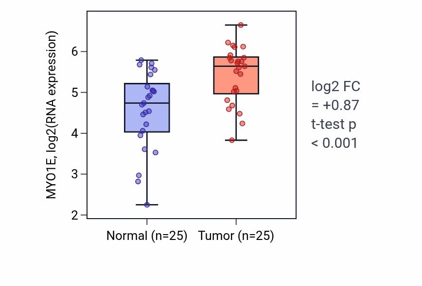Tumor-vs-normal expression box plot for MYO1E RNA in HNSC.