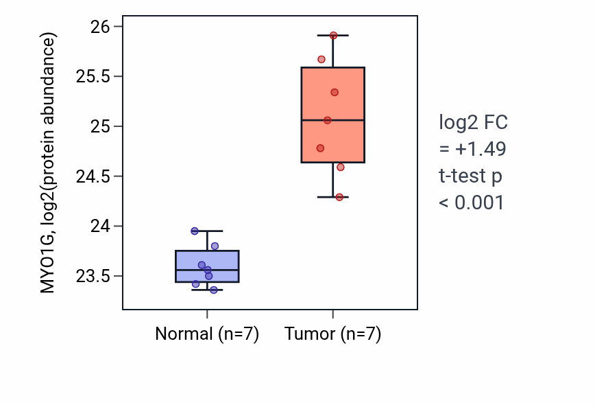 Tumor-vs-normal mass-spec protein box plot for MYO1G in CCRCC.