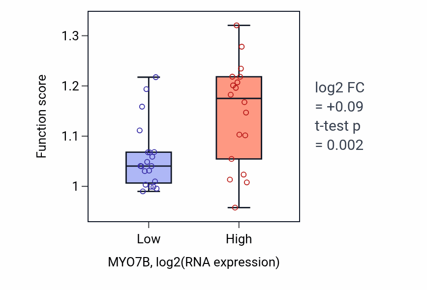Box plot of Actin filament organization in MYO7B-low vs MYO7B-high samples in BONE.