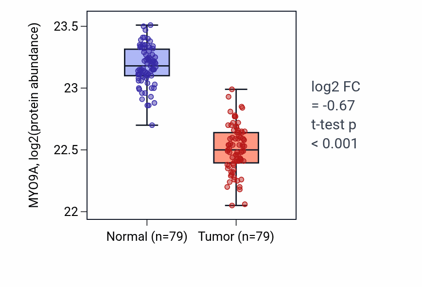 Tumor-vs-normal mass-spec protein box plot for MYO9A in LSCC.