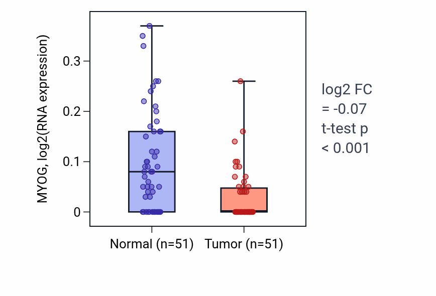 Tumor-vs-normal expression box plot for MYOG RNA in KIRC.