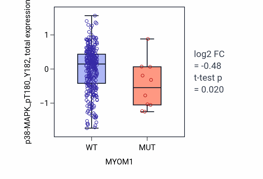 Box plot of p38-MAPK_pT180_Y182 in MYOM1-low vs MYOM1-high samples in BLCA.