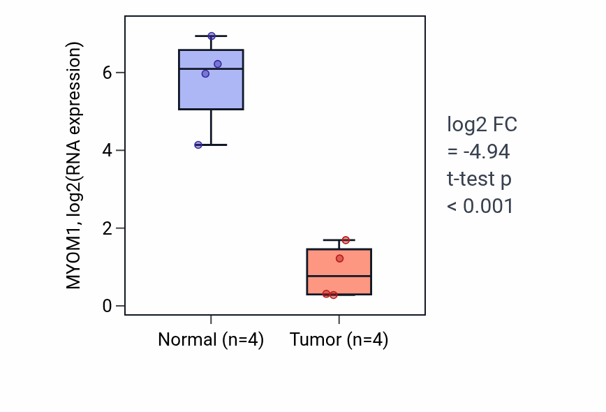 Tumor-vs-normal expression box plot for MYOM1 RNA in BLCA.