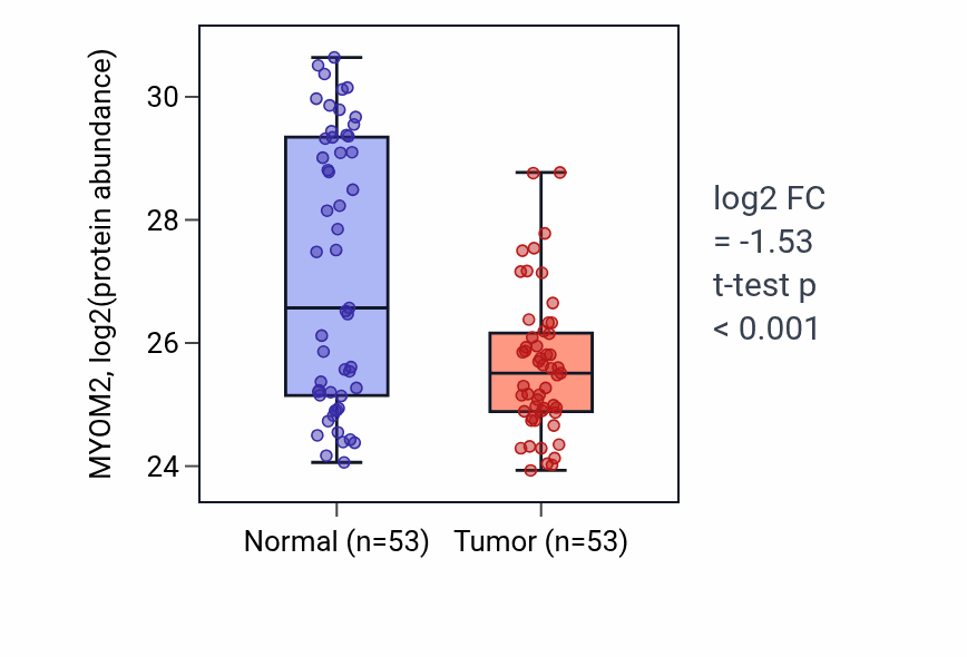 Tumor-vs-normal mass-spec protein box plot for MYOM2 in HNSC.