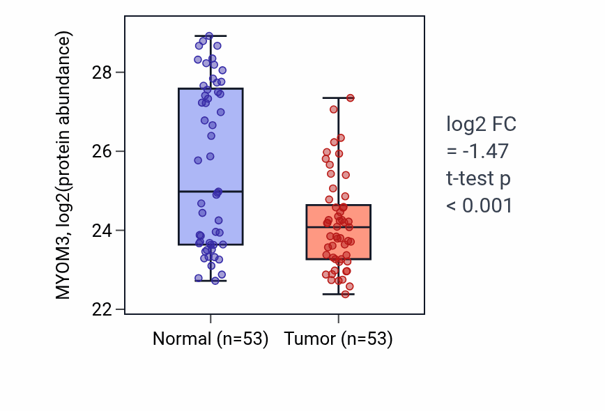 Tumor-vs-normal mass-spec protein box plot for MYOM3 in HNSC.