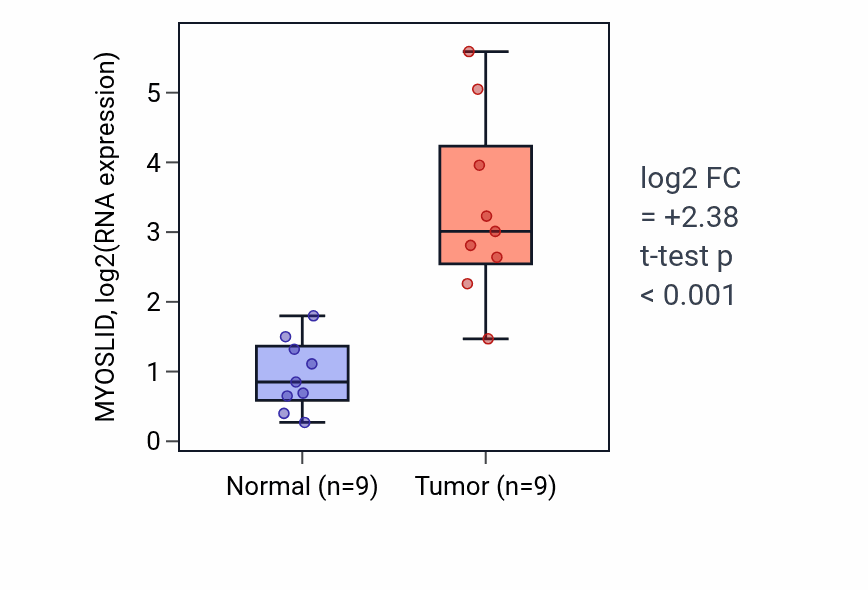 Tumor-vs-normal expression box plot for MYOSLID RNA in HNSC.