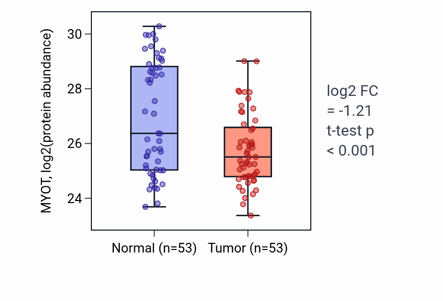 Tumor-vs-normal mass-spec protein box plot for MYOT in HNSC.