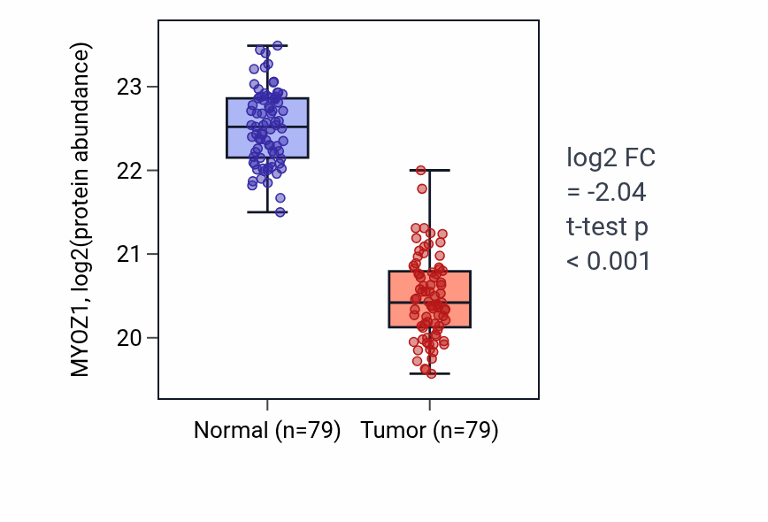 Tumor-vs-normal mass-spec protein box plot for MYOZ1 in LSCC.