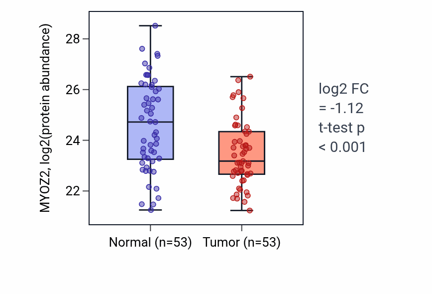 Tumor-vs-normal mass-spec protein box plot for MYOZ2 in HNSC.