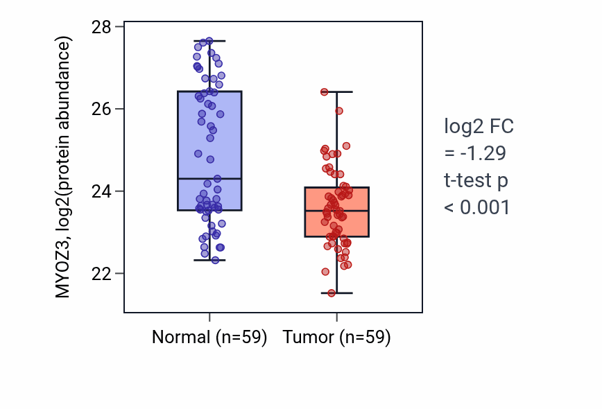 Tumor-vs-normal mass-spec protein box plot for MYOZ3 in HNSC.