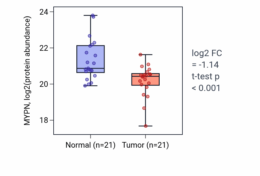 Tumor-vs-normal mass-spec protein box plot for MYPN in PDAC.