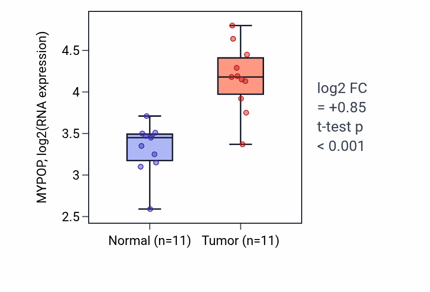 Tumor-vs-normal expression box plot for MYPOP RNA in HNSC.