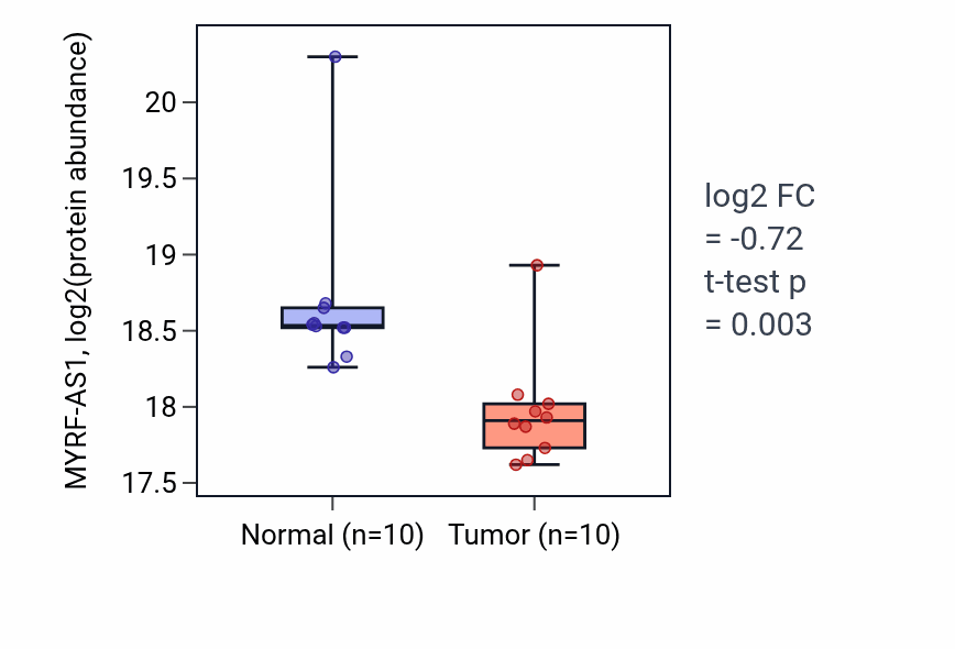 Tumor-vs-normal mass-spec protein box plot for MYRF-AS1 in LSCC.