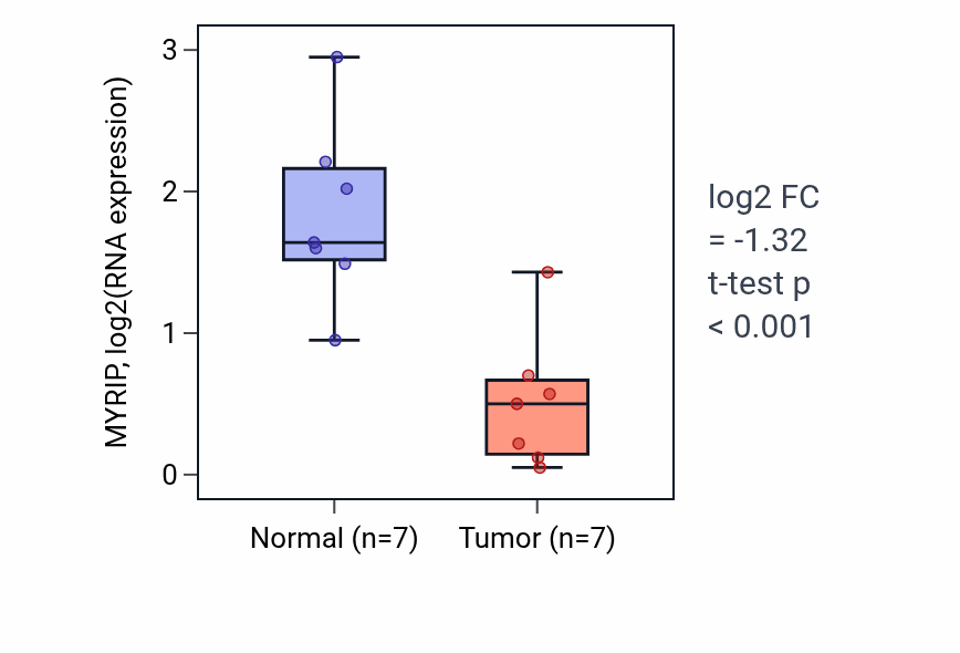 Tumor-vs-normal expression box plot for MYRIP in BLCA.