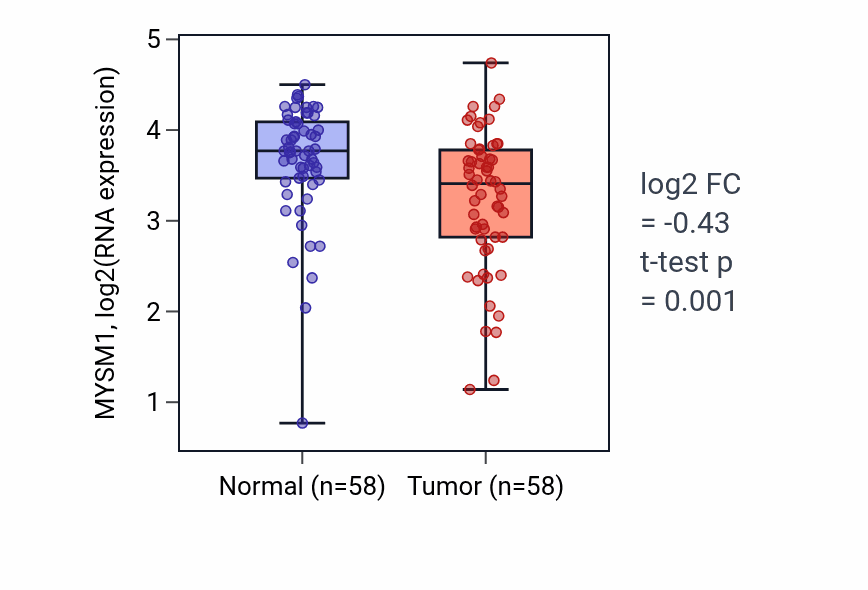 Tumor-vs-normal expression box plot for MYSM1 RNA in THCA.