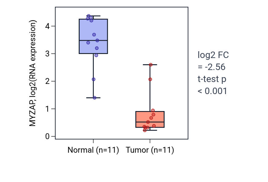 Tumor-vs-normal expression box plot for MYZAP in HNSC.