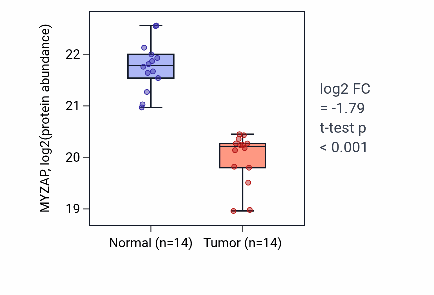 Tumor-vs-normal mass-spec protein box plot for MYZAP in LUAD.