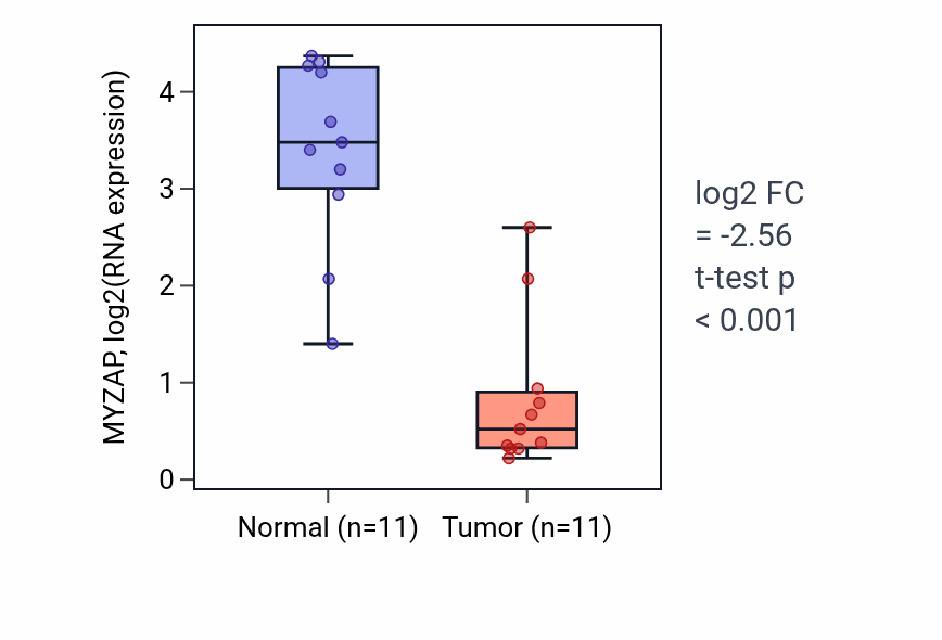 Tumor-vs-normal expression box plot for MYZAP RNA in HNSC.