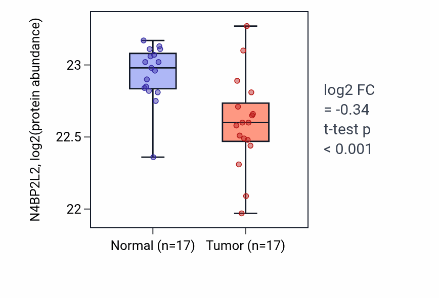 Tumor-vs-normal mass-spec protein box plot for N4BP2L2 in LSCC.