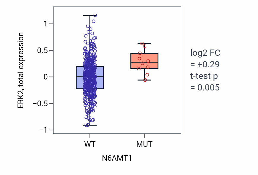 Box plot of ERK2 in N6AMT1-low vs N6AMT1-high samples in UCEC.