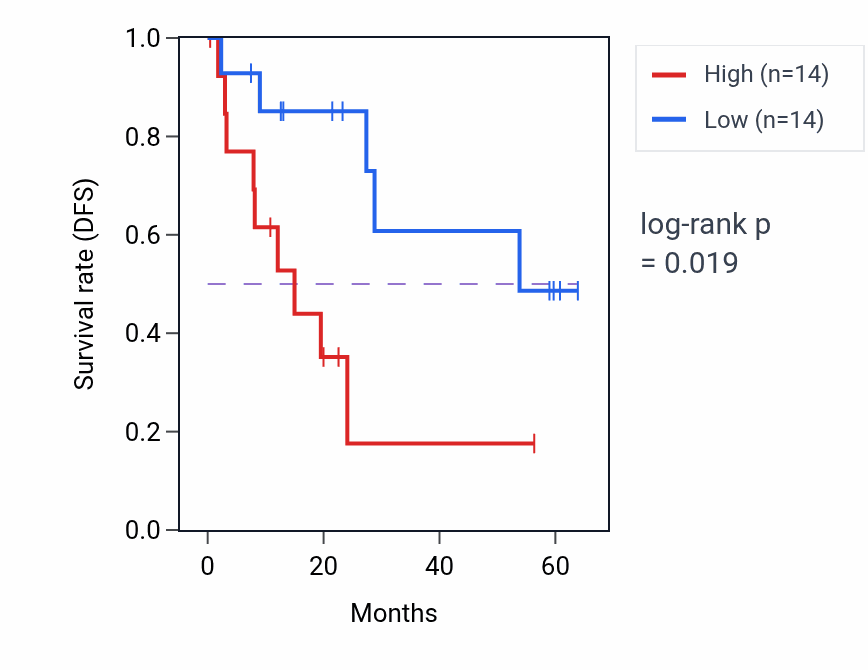 Kaplan&ndash;Meier survival curve for N6AMT1 mass-spec protein-high vs -low samples in CCRCC.