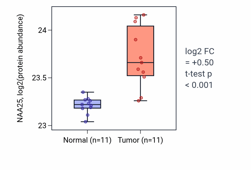 Tumor-vs-normal mass-spec protein box plot for NAA25 in CCRCC.