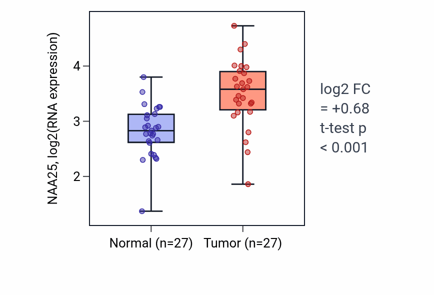 Tumor-vs-normal expression box plot for NAA25 RNA in HNSC.