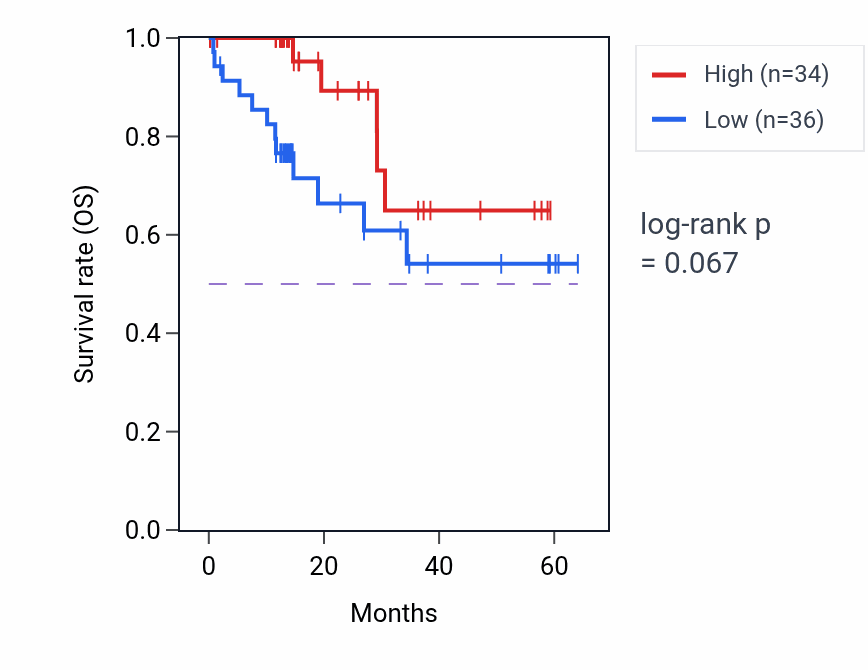 Kaplan&ndash;Meier survival curve for NAA40 mass-spec protein-high vs -low samples in LUAD.