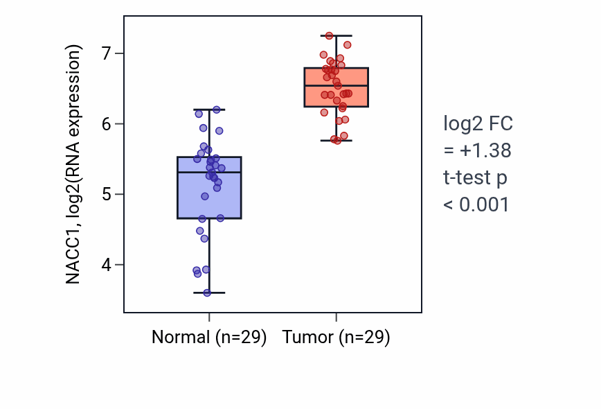 Tumor-vs-normal expression box plot for NACC1 RNA in HNSC.