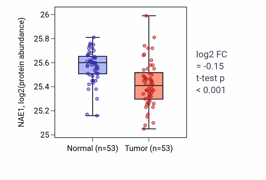 Tumor-vs-normal mass-spec protein box plot for NAE1 in HNSC.