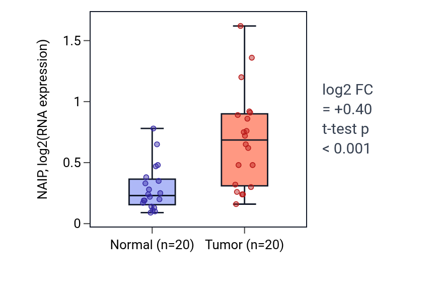 Tumor-vs-normal expression box plot for NAIP in KIRC.