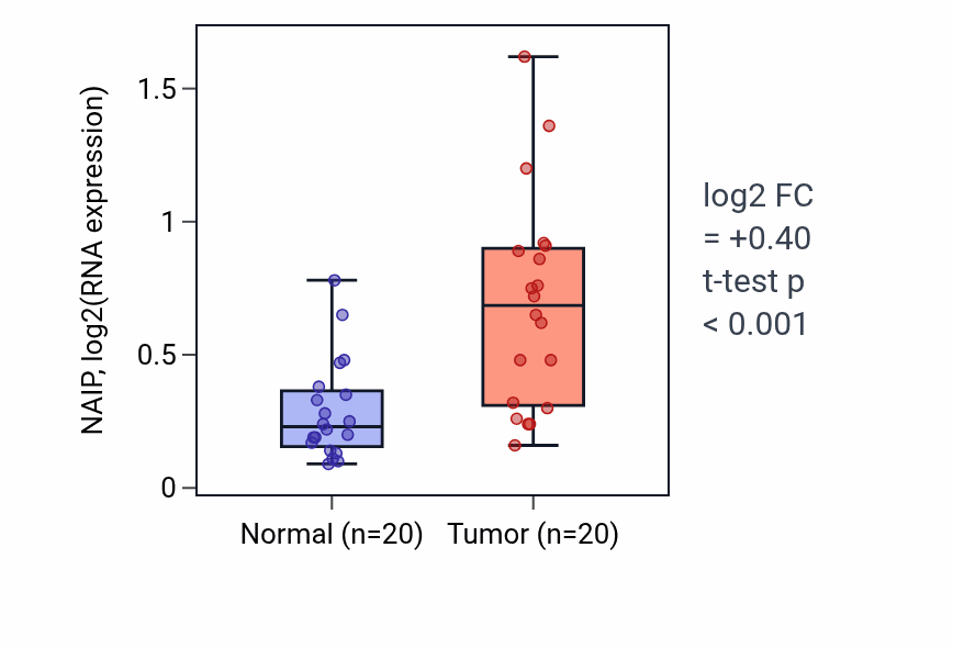 Tumor-vs-normal expression box plot for NAIP RNA in KIRC.