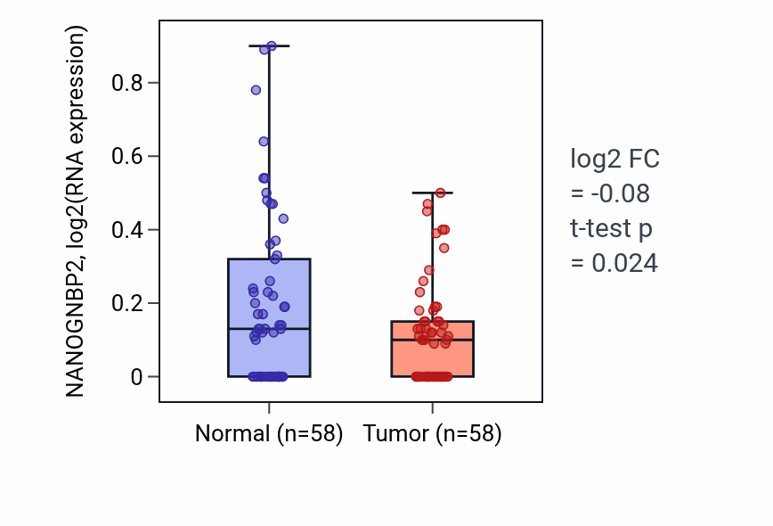 Tumor-vs-normal expression box plot for NANOGNBP2 in THCA.