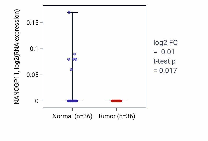Tumor-vs-normal expression box plot for NANOGP11 RNA in KIRC.