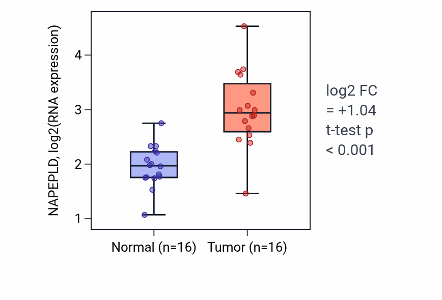 Tumor-vs-normal expression box plot for NAPEPLD RNA in HNSC.