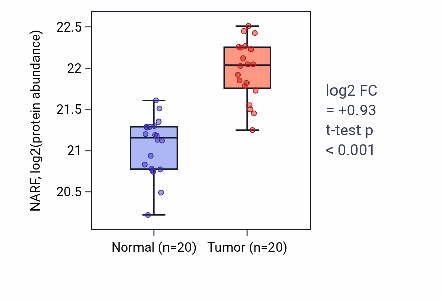 Tumor-vs-normal mass-spec protein box plot for NARF in LSCC.
