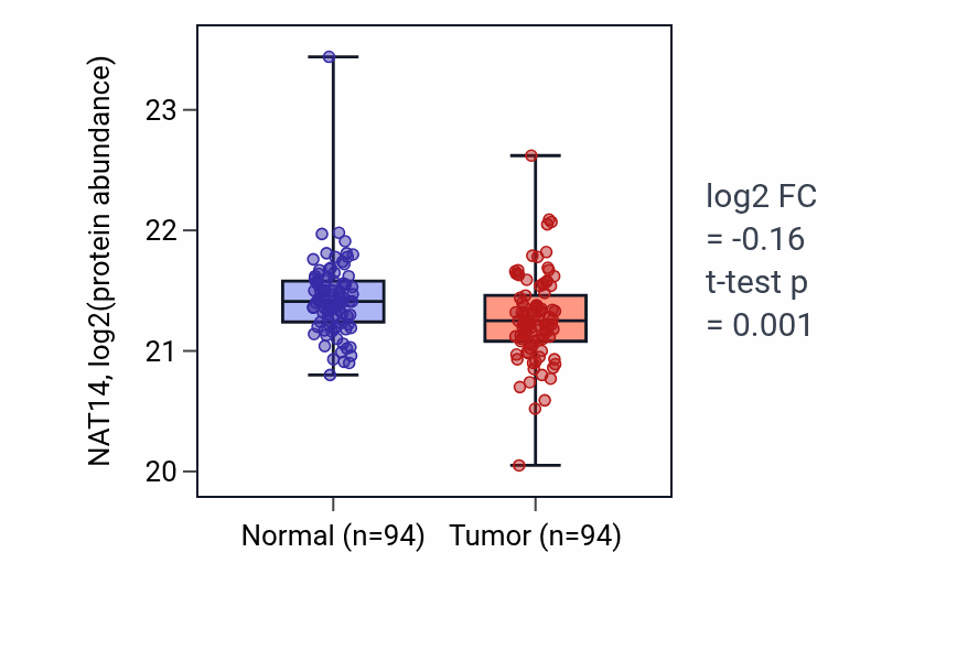 Tumor-vs-normal mass-spec protein box plot for NAT14 in LSCC.