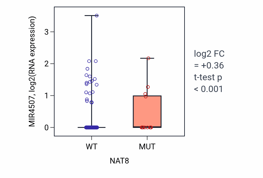 Box plot of MIR4507 in NAT8-low vs NAT8-high samples in UCEC.