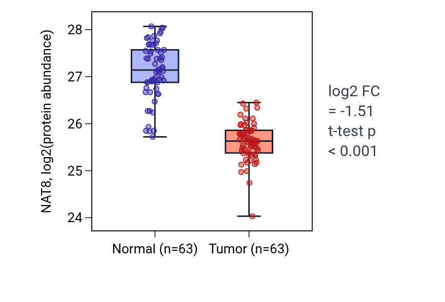 Tumor-vs-normal mass-spec protein box plot for NAT8 in CCRCC.