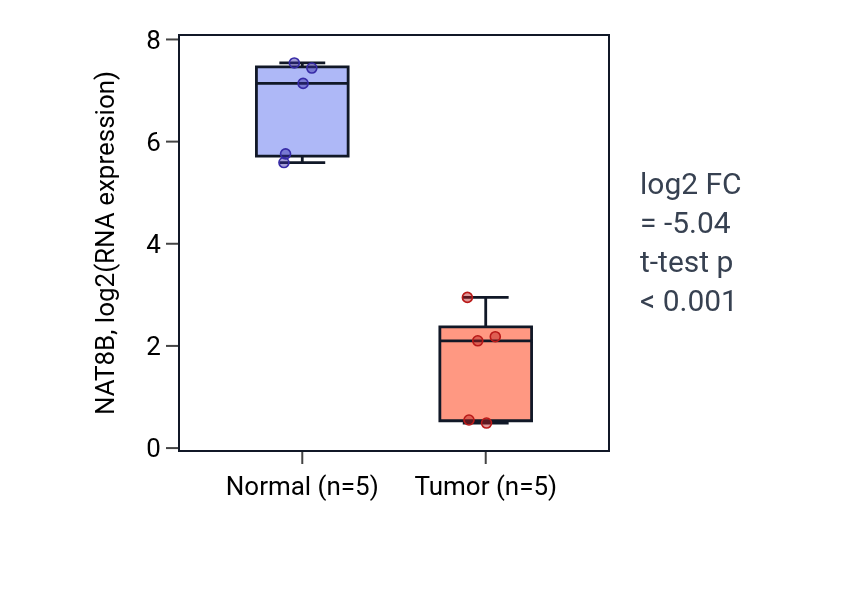 Tumor-vs-normal expression box plot for NAT8B in KIRP.