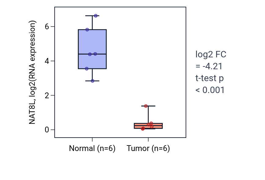 Tumor-vs-normal expression box plot for NAT8L in KIRC.