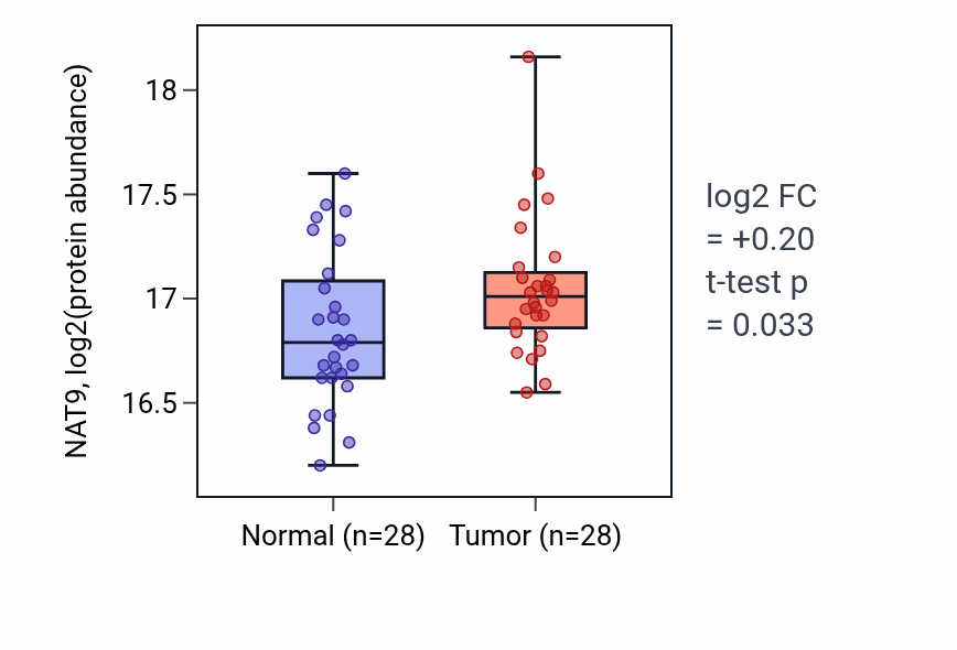 Tumor-vs-normal mass-spec protein box plot for NAT9 in LSCC.