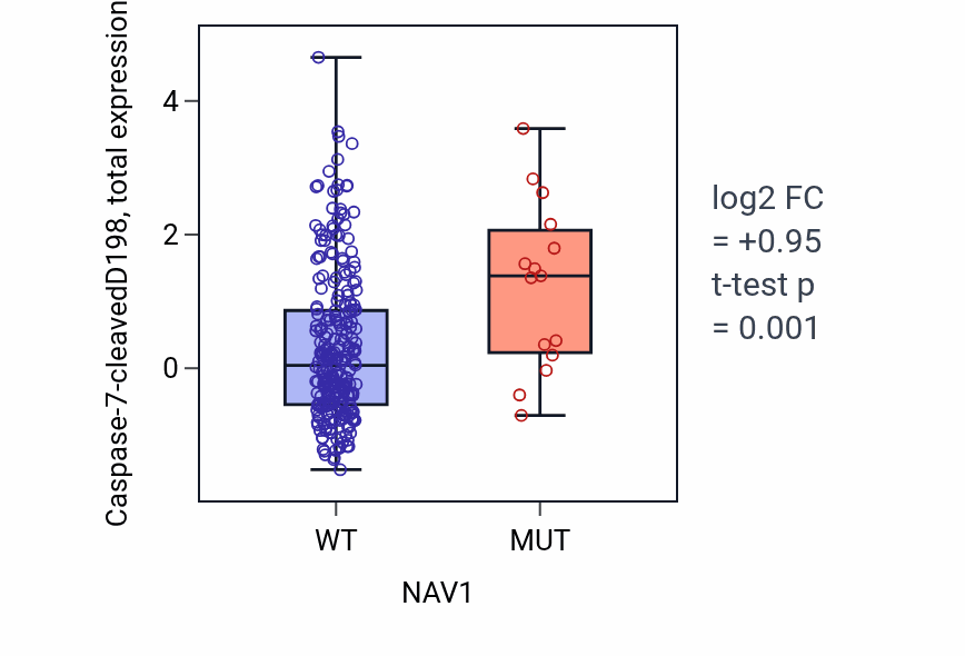 Box plot of Caspase-7-cleavedD198 in NAV1-low vs NAV1-high samples in STAD.