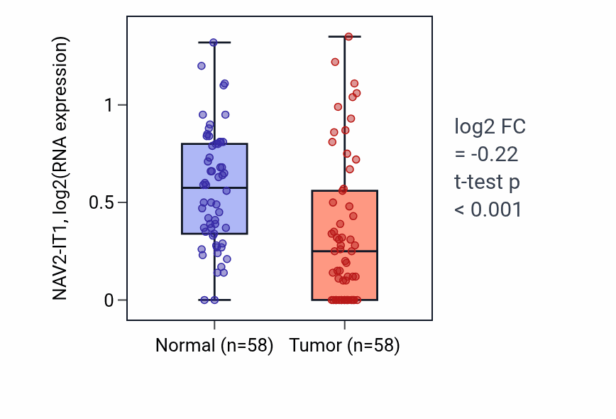 Tumor-vs-normal expression box plot for NAV2-IT1 in THCA.
